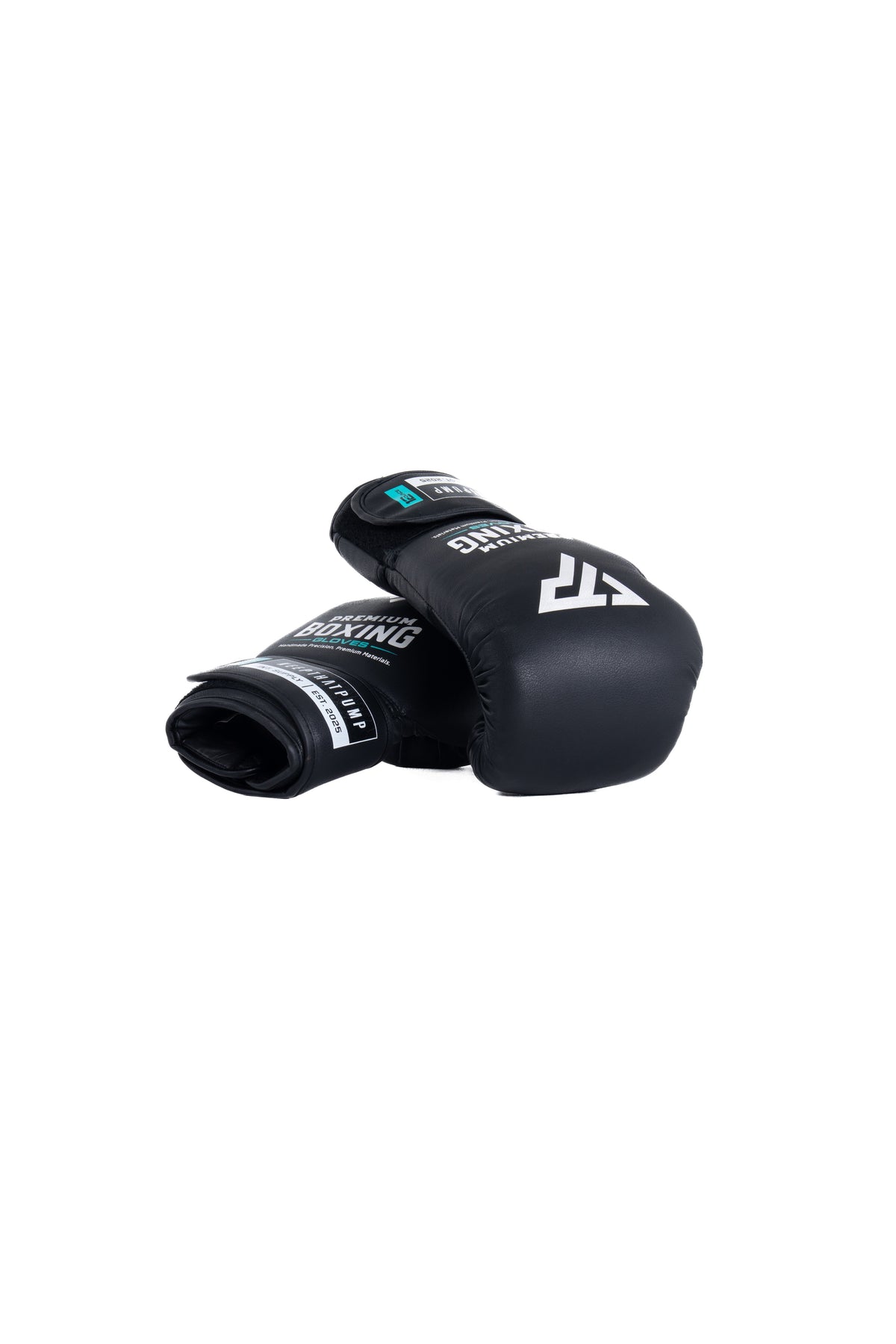 KTP BOXING GLOVE